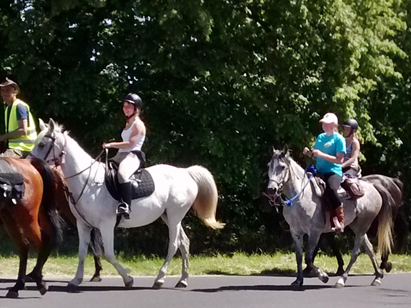 2015-06-05 wyruszył III Rajd Konny po Wzgózach Dalkowskich@fot.M.Kowalska